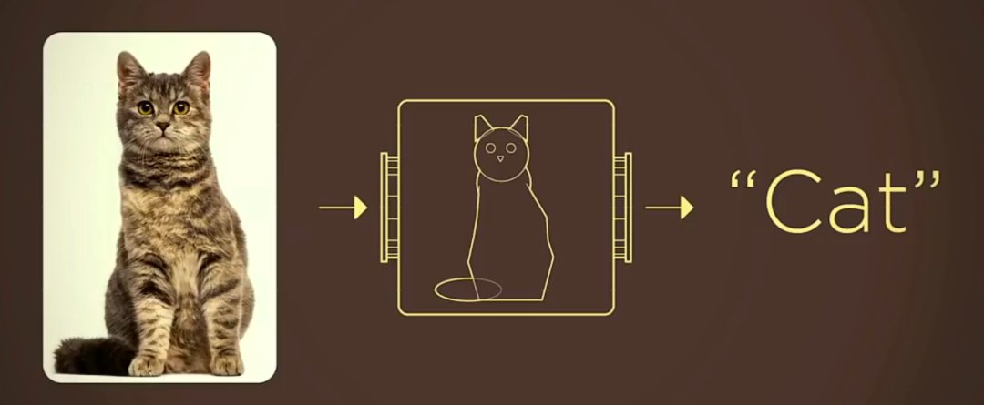 猫的照片抽象成几何线条