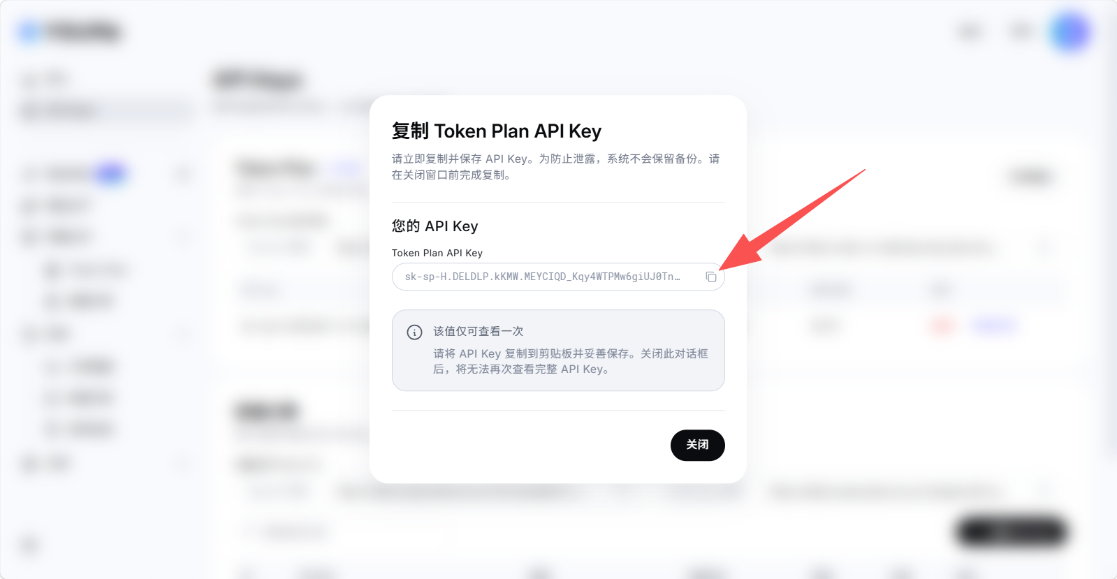 步骤 4:复制并保存新创建的 API Key